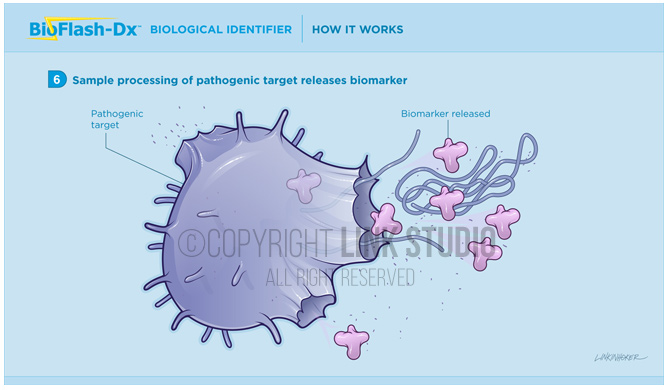 BioFlash-DX biological identifier medical illustration