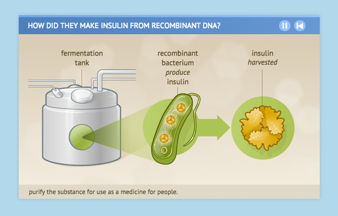 Recombinant DNA animated information graphic