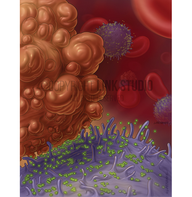 TRAIL Induced Apoptosis medical illustration