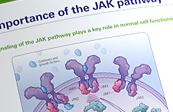 Janus kinase - Jakafi medical illustration
