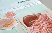 Digestive system anatomy sales training cover