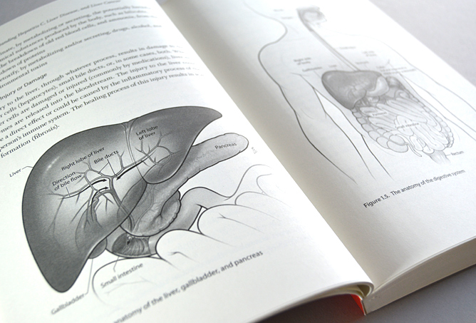 Hepatitis C publication spread with medical illustrations