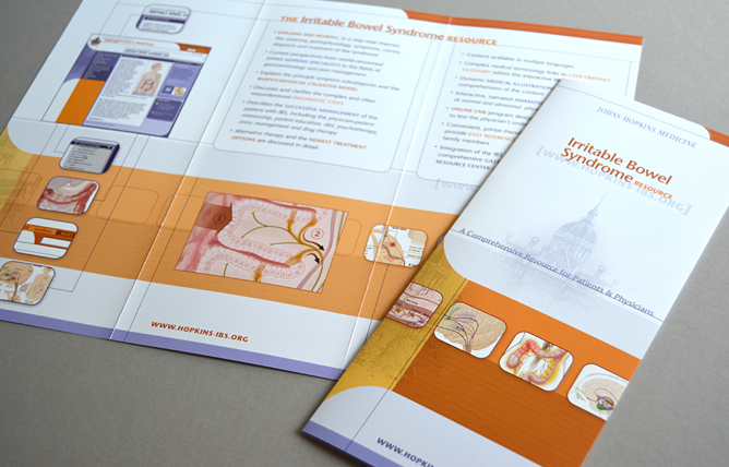 IBS website brochure - print design