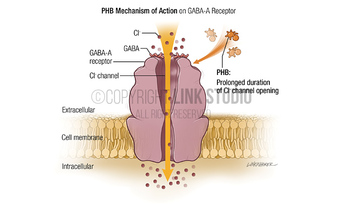 GABA-A receptor medical illustration