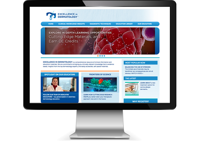 Excellence In Dermatology Website