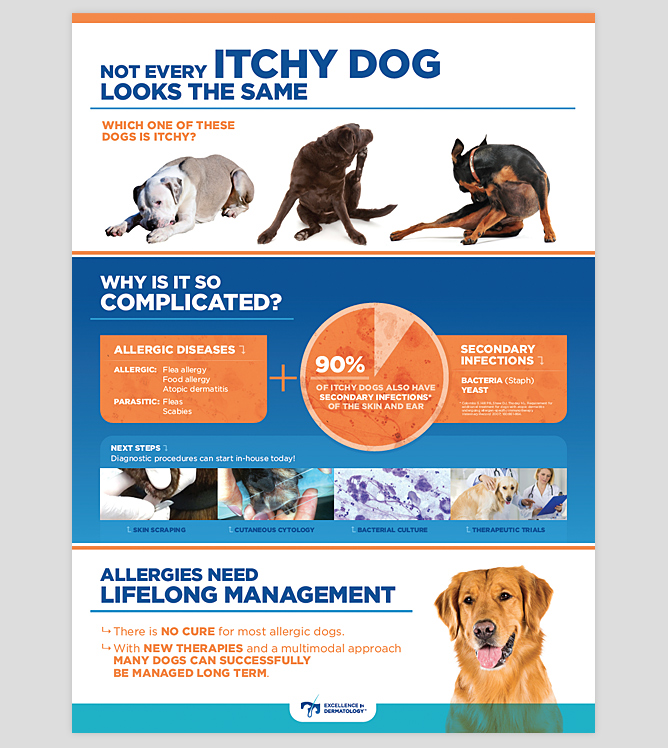 Excellence In Dermatology Itchy Dog Poster