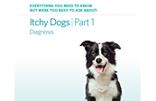Itchy Dog Part 1 publication