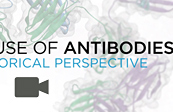 Therapeutic Use of Antibodies - A Historical Perspective Video