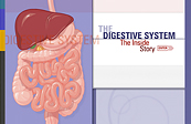 Johns Hopkins Cystic Fibrosis digestive system interactive
