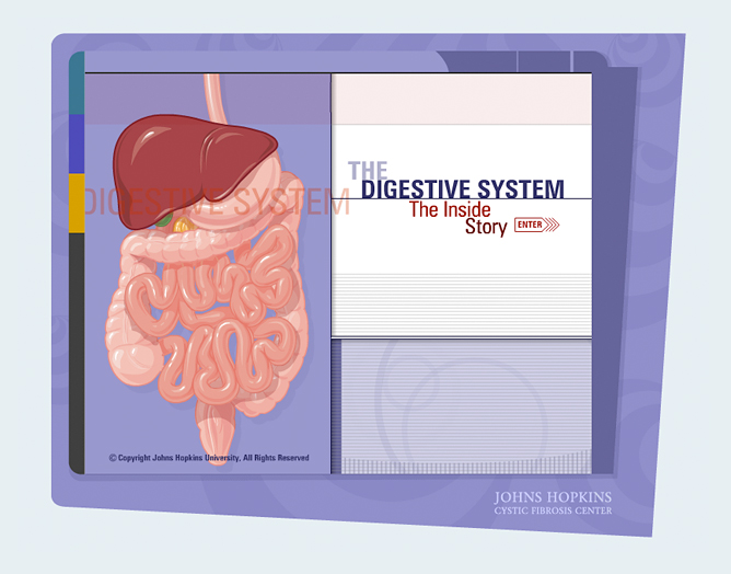 Johns Hopkins Cystic Fibrosis digestive system interactive