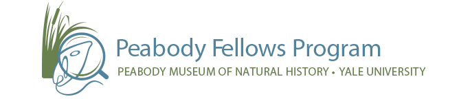 Peabody Fellows Program logo