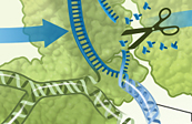 CRISPR / Cas Gene Editing Illustration