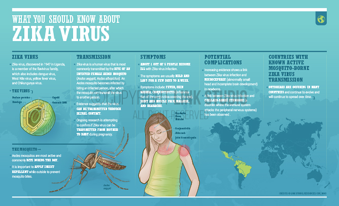 What You Should Know About Zika Virus poster – Horizontal