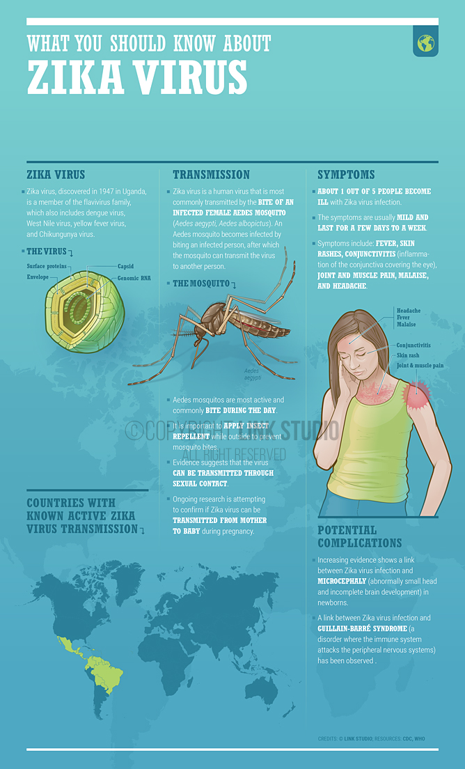 What You Should Know About Zika Virus poster – Vertical