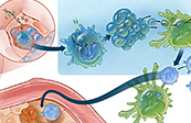 Oral T-Cell Immunotherapy MOA Medical Illustration
