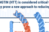 Targeting Huntington's Disease Protein, HTT