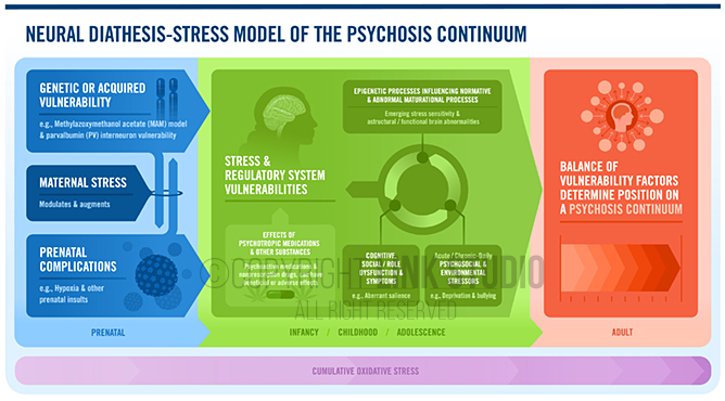Neural Diathesis-Stress Model of the Psychosis Continuum Infographic