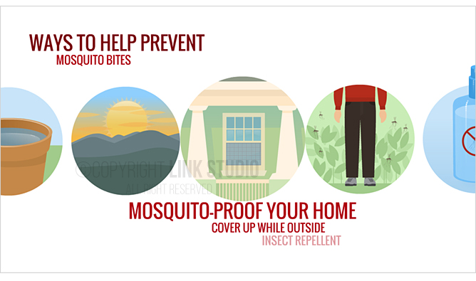 Mosquito-borne Disease Prevention